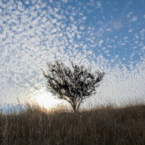 LA LLUVIA   Paseo vallenato