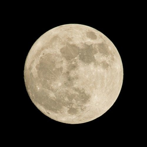 Solamente la luna siempre (only the moon)